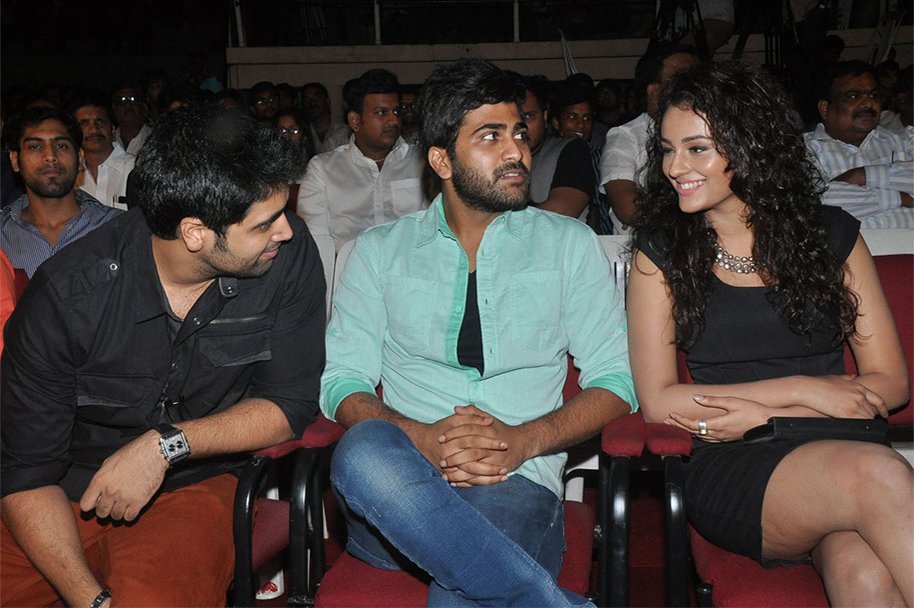 Run-Raja-Run-Audio-Launch